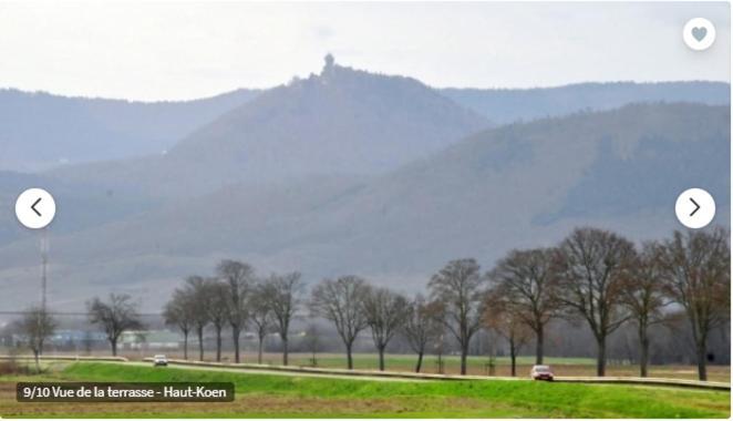 Gite De L'Aubach Ebersheim Extérieur photo
